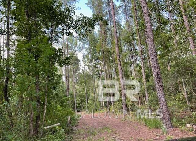 Property at 0 Highway 29, Andalusia, AL 36420