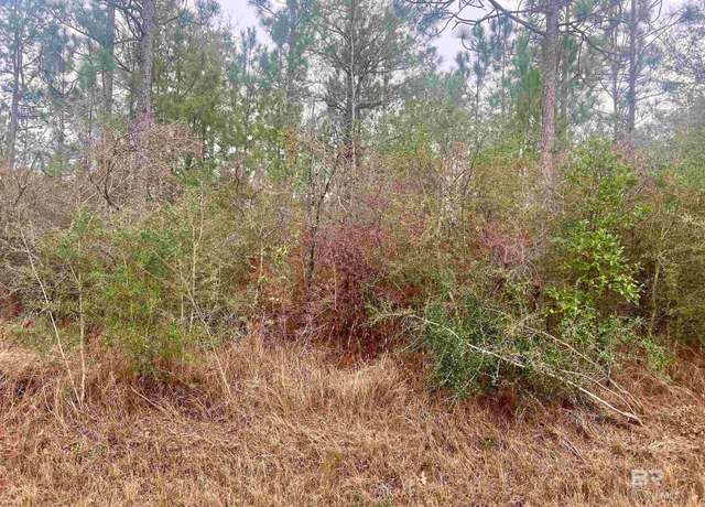 Property at 0 John Shinn Rd, Chunchula, AL 36521