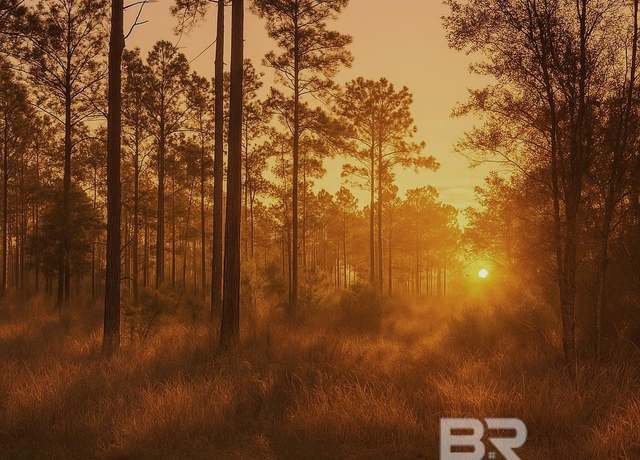 Property at 16690 CC Rd, Elberta, AL 36530