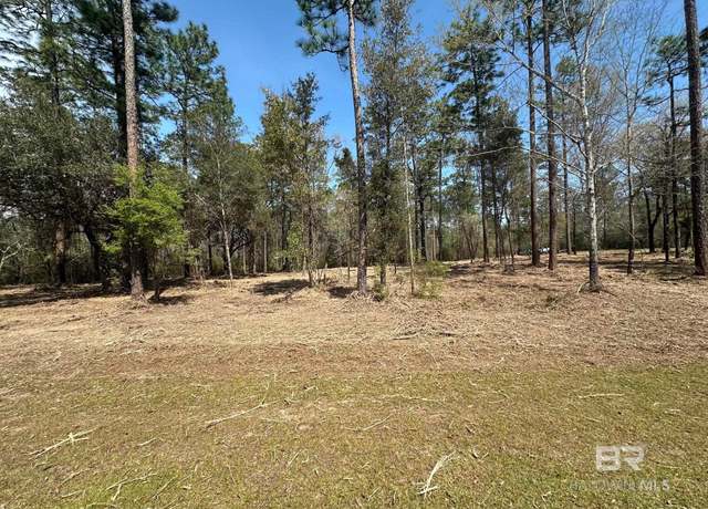 Property at 0 Steelwood Ridge Rd, Loxley, AL 36551