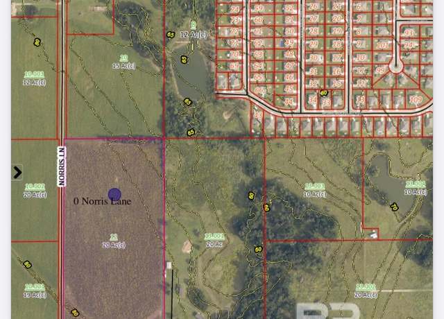 Property at 0 Norris Ln, Foley, AL 36535