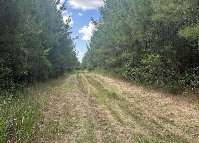 Property at 0 Highway 31, Bay Minette, AL 36507