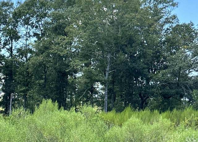 Property at 0 Hampton Ridge Ct, Mobile, AL 36608