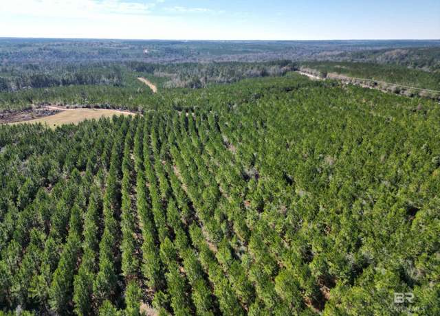 Property at Lot 1 Robinsonville Rd, Atmore, AL 36502
