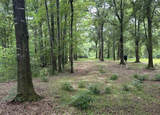 Property at 0 E Bethlehem Rd, Jackson, AL 36545