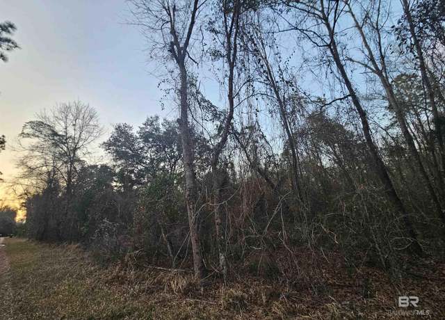 Property at 0 Lee Rd, Robertsdale, AL 36567