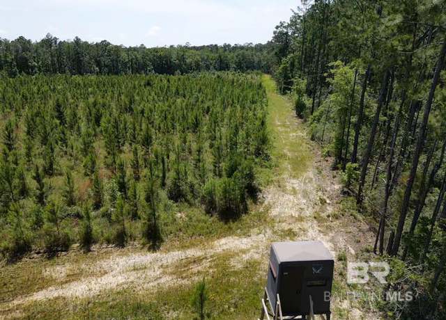 Property at 0 County Road 87, Robertsdale, AL 36567