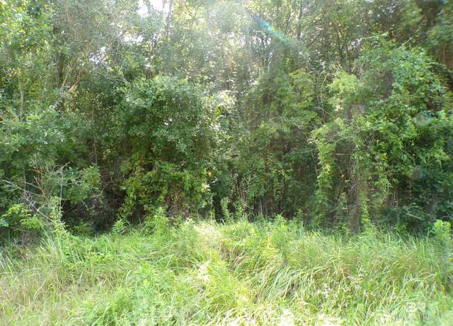 Property at Lipscomb Rd, Foley, AL 36535