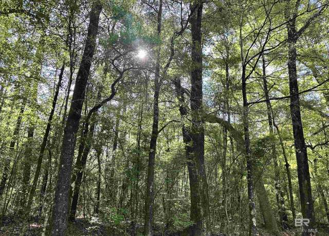 Property at 0 Kirkland Rd, Brewton, AL 36426