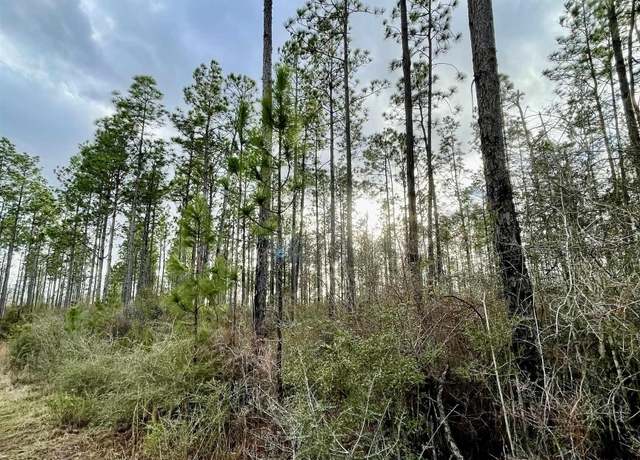 Property at 3700 Block Highway 168, Century, FL 32535