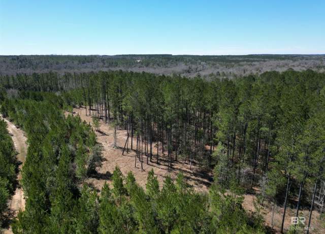 Property at 04 Robinsonville Rd, Atmore, AL 36502
