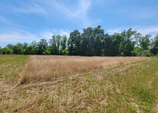 Property at 0 Back Forty Ln, Foley, AL 36535