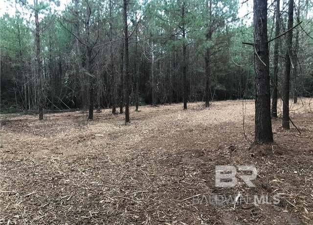 Property at 0 Wilmer Georgetown Rd, Wilmer, AL 36587