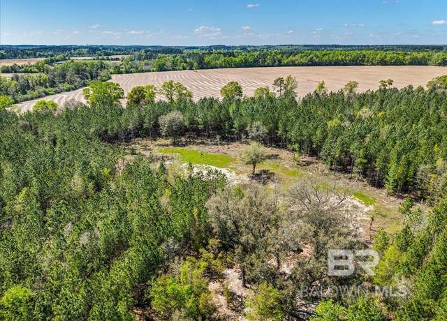 Property at 22544 Lechner Rd, Robertsdale, AL 36567