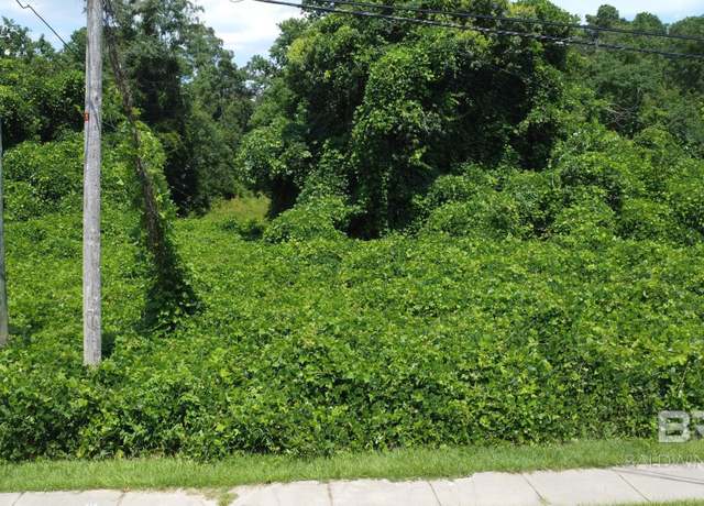 Property at 0 Young St, Fairhope, AL 36532