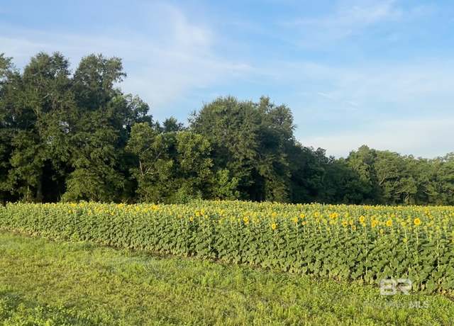 Property at 00 PAUL CLEVERDON Rd, Summerdale, AL 36580