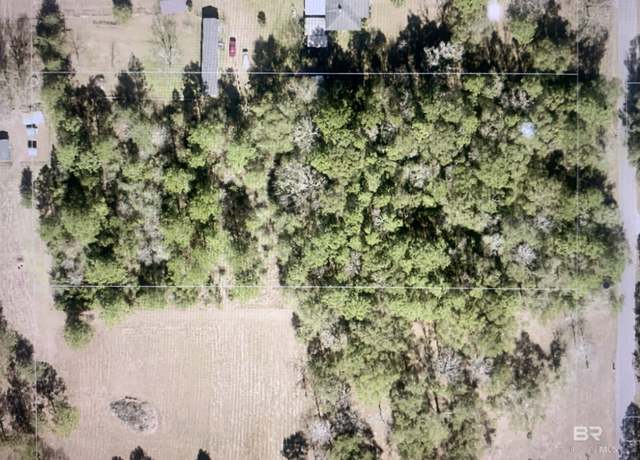 Property at 5035 S Albert Evans Rd, Wilmer, AL 36587