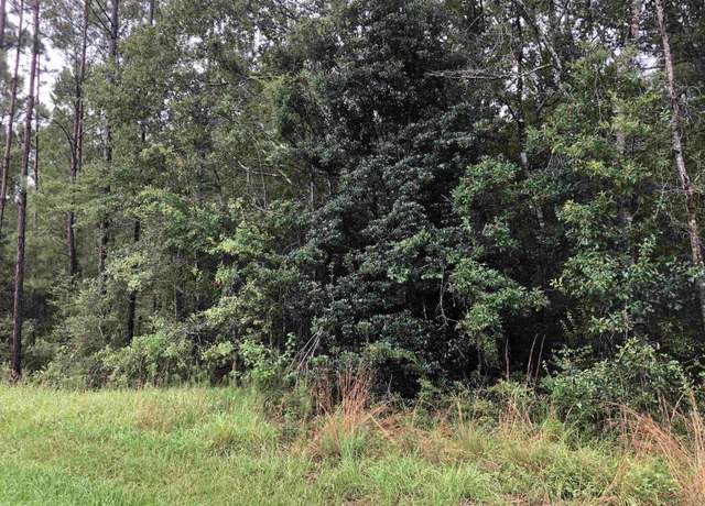 Property at 0 Wilson Rd, Elberta, AL 36530-0000