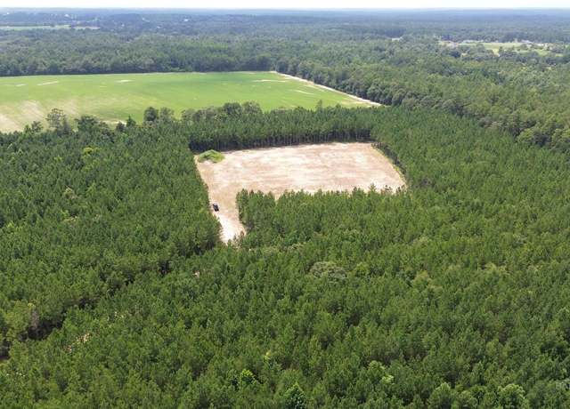 Property at 0 Lechner Rd, Robertsdale, AL 36551