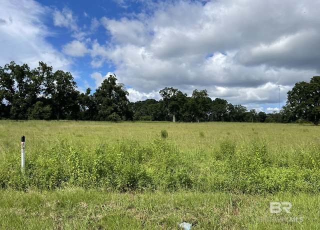 Property at Lot 1 County Road 62, Robertsdale, AL 36567-0000