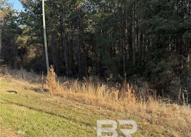 Property at 0 Spice Pond Rd, Eight Mile, AL 36613