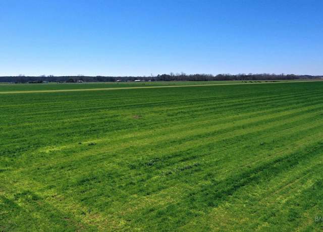 Property at Lot 15 Davis Pond Rd, Atmore, AL 36502