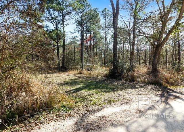 Property at 16045 Williams Rd, Coden, AL 36523