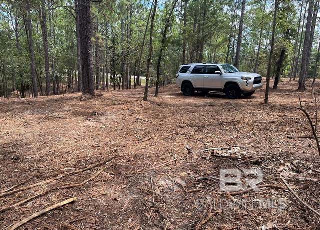Property at 0 State Highway 225, Spanish Fort, AL 36527