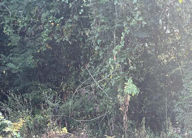 Property at 1310 Magee St, Prichard, AL 36610