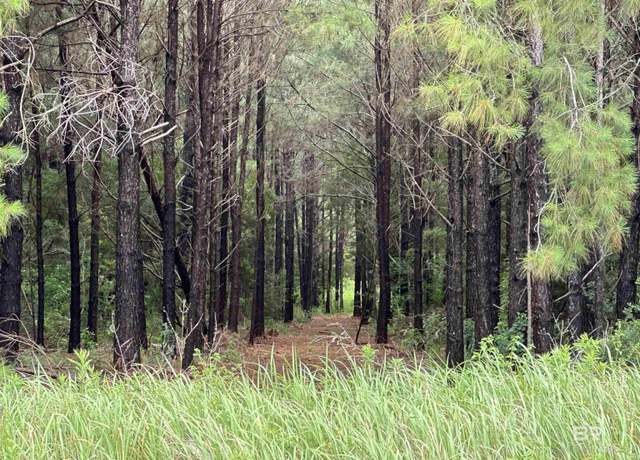 Property at 0 James Rd, Foley, AL 36535-0000