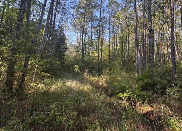 Property at 0 Blakeley Oaks Dr, Spanish Fort, AL 36527
