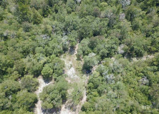 Property at 17175 Kelly Rd, Mount Vernon, AL 36560