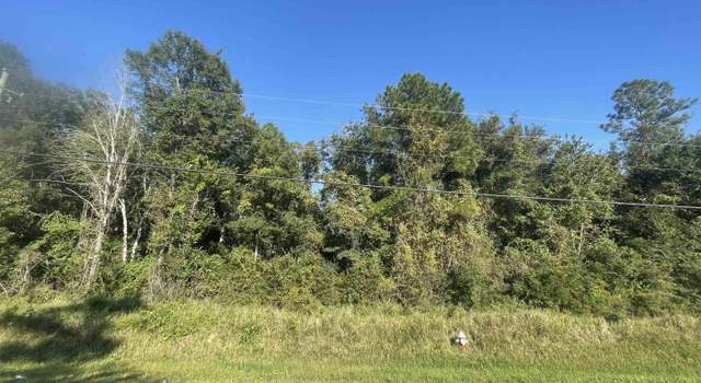 Photo of 0 John Shinn Rd, Chunchula, AL 36521