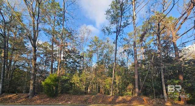 Photo of 0 County Road 138, Bay Minette, AL 36507