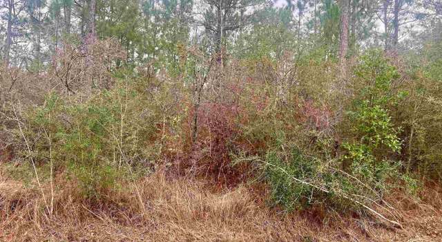 Photo of 0 John Shinn Rd, Chunchula, AL 36521