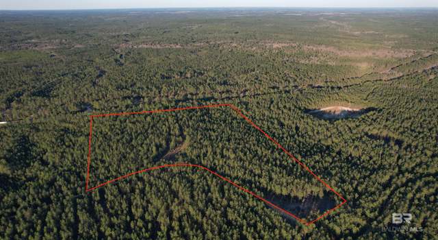 Photo of 0 Bull Springs Trl, AL 36567
