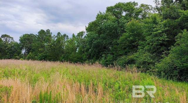 Photo of 000 County Road 69, Coffeeville, AL 36524
