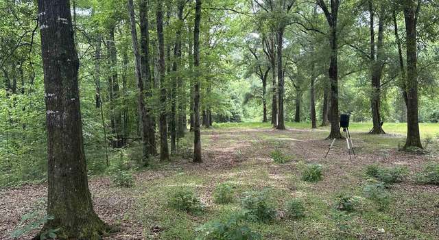 Photo of 0 E Bethlehem Rd, Jackson, AL 36545