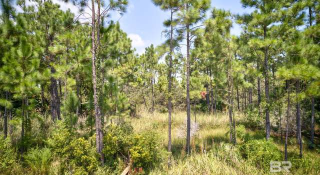 Photo of 00 Lakeshore Dr, Gulf Shores, AL 36542