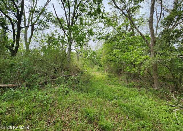 Property at 14500 Jasmine Rd, Kaplan, LA 70548