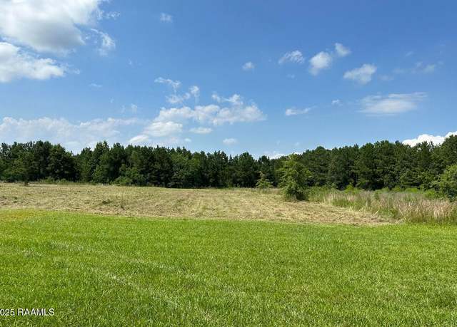 Property at 203 Bourbon Rd, Basile, LA 70515