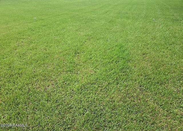 Property at Lot 11 And E Birch Ln, Port Barre, LA 70577