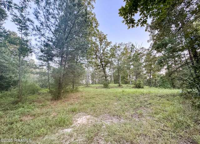 Property at Tbd Saddler, Turkey Creek, LA 70585