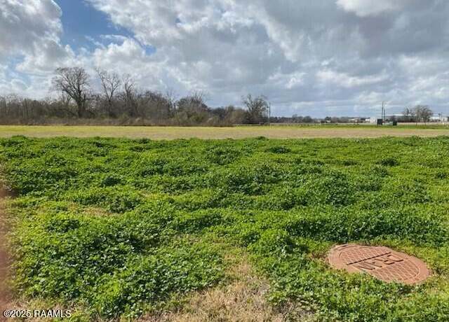 Property at 102 Trailing Oaks Dr, Youngsville, LA 70592