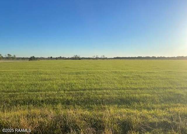 Property at Tbd Johnson Rd, Ville Platte, LA 70586