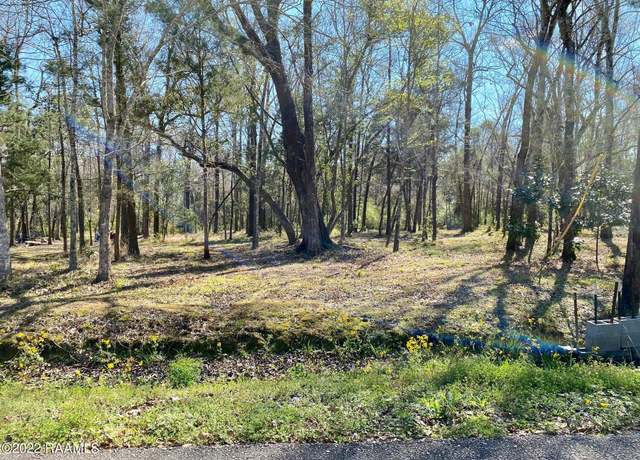 Property at 511 Evelyn Dr, Abbeville, LA 70510