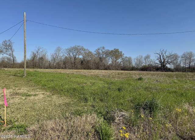 Property at Tbd Apple Rd Tract B, Opelousas, LA 70570
