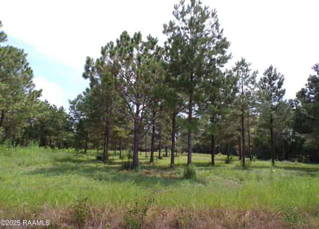 Property at 1068 Olivier Guidry Rd, Arnaudville, LA 70512