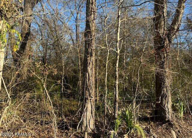 Property at Heard Sylvester Rd, Washington, LA 70589