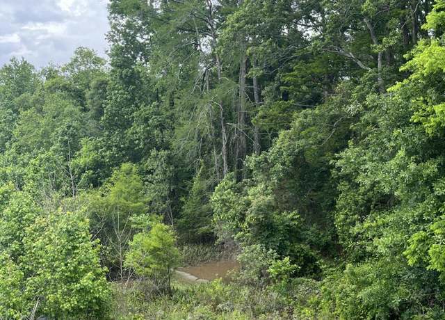 Property at Tbd Hwy 361, Washington, LA 70589